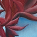 Flower Study #4