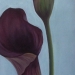 Lilies